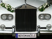 Svatební SPZ - novomanželé