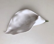 Hlavička kaly - bílá - 15cm