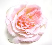 Hlavičky růží - sv.růžové Mary Rose