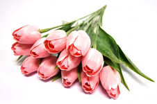 Tulipán umělý - růžový