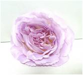Hlavičky růží - světle fialové Mary Rose