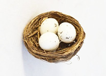 Hnízdečko 6 cm se třemi bílými plastovými vajíčky