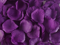 Plátky růží - tm. fialové 100 ks