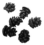 Šišky 3 cm glitrované černé - 6 ks 