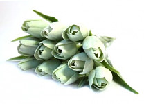 Tulipán umělý - mátový