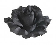 Hlavičky růží - černé 10 cm
