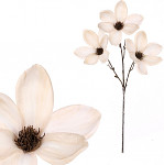 Magnolie stvol 45 cm - 3 květy - krémová