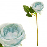Růže stvol - zelenošedá - 29 cm