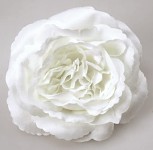 Hlavičky růží - bílé Mary Rose