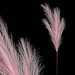 Umělá pampová tráva - růžová - 74 cm
