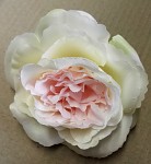 Hlavičky růží Mary Rose - krémovorůžové