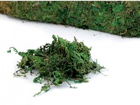 Dekorační mech zelený - 100 g