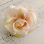 Hlavičky růží - krémovo-růžové 10 cm