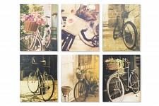 Obraz pro cyklisty - kolo s květinami 