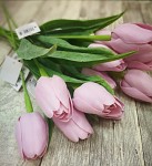 Tulipán umělý - starorůžový