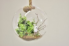 Závěsná koule maxi  - aerárium - 15 cm