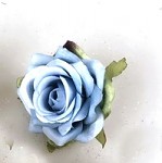 Hlavičky poupat růží - modré mini