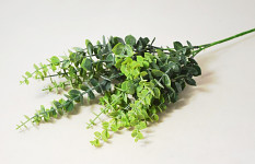Eukalyptus 68 cm zelený