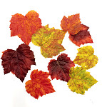 Listy javoru umělé - mix barev 7-10 cm - 9 ks