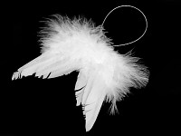 Andělská křídla závěs 10 cm - bílá
