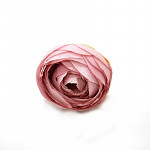 Hlavička mini ranunculus - starorůžová - 1ks