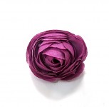 Hlavička mini ranunculus - fialová - 1ks  