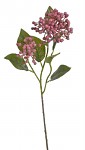 Hortenzie stvol s poupaty - tmavě růžová - 55 cm