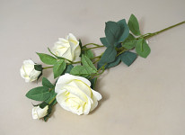 Růže ivory stvol se 4 květy - 70 cm