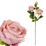 Růže sametová 2 květy s poupětem 59 cm -  pudrově růžová