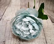 Pivoňka stvol - mint - 25 cm