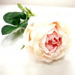 Pivoňková růže stvol - krémovo - růžová - 34 cm 