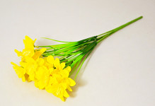 Narcis 5 výhonků 32 cm - žlutý