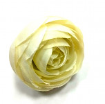 Hlavička mini ranunculus - ivory - 1ks   