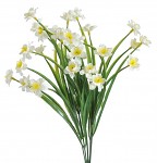 Narcisky mini trs - krémovožlutý