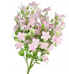 Polní kvítí kytička 30 cm - sv.růžová