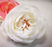Hlavička pivoňkové růže 7 cm - ivory