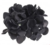 Vazbový květ hortenzie - černý malý  