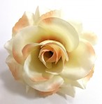Hlavičky růží krémovo- lososové - 10 cm - 1 ks