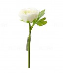 Ranunculus stvol - bílý - 27 cm