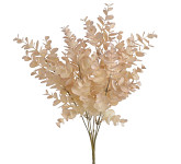 Eukalyptus drobnolistý béžový - 30 cm