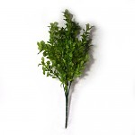 Buxus trs 32 cm - zelený