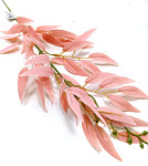 Ruscus barvený - pudrově růžový - 60 cm