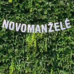 Girlanda papírová bílá perleť - novomanželé 