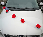 Girlanda na auto - tylová šerpa s růžemi - červená - 1ks 