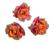 Hlavičky poupat růží - mini rozvité - podzimní
