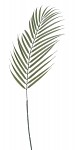 Palmový list šedozelený - 71 cm