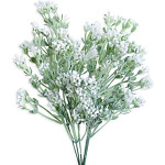 Gypsophilla zápich zavitá - bílá - 35 cm