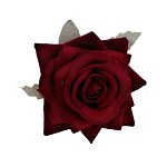 Hlavičky poupat růží - mini - sametové bordó