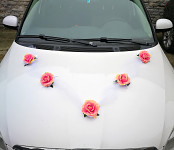 Girlanda na auto - tylová šerpa s růžemi - korálová  - 1ks 