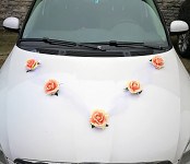 Girlanda na auto - tylová šerpa s růžemi - lososová - 1ks  